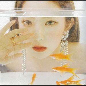 Meet your Posher, Yijun